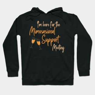 I'm here for the Mimosional Support Meeting Hoodie